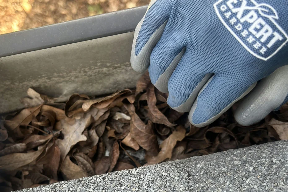 Gutter Cleaning Pamplin City