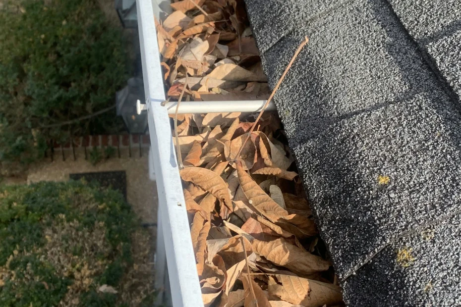 Gutter Cleaning Pamplin City