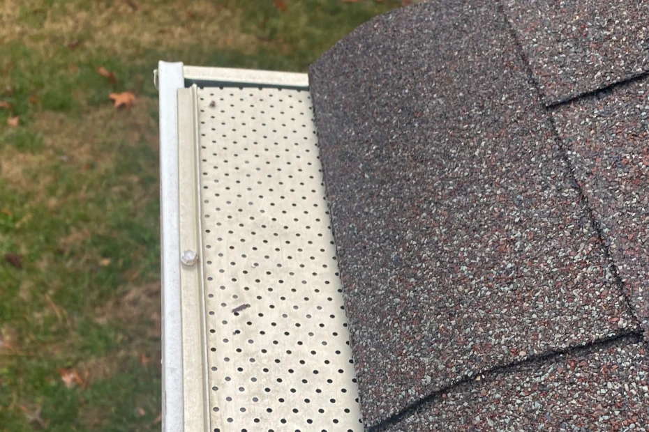 Gutter Cleaning Pamplin City